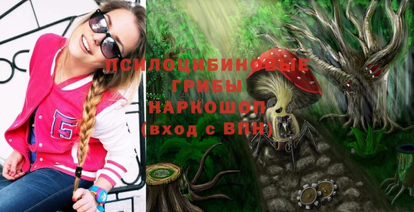 гашик Алексеевка